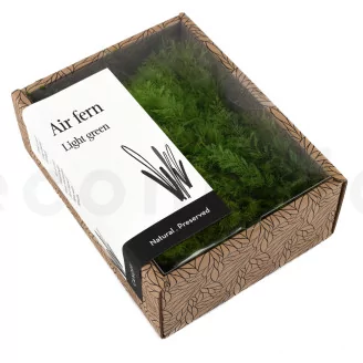Preserved Air Fern Light Green (Creabox S)