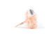 Preserved Hydrangea Pink Blush 11