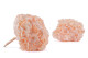 Preserved Hydrangea Pink Blush 6