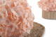 Preserved Hydrangea Pink Blush 5