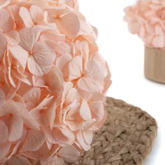Preserved Hydrangea Pink Blush