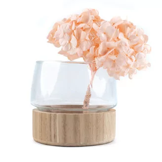 Preserved Hydrangea Pink Blush