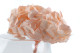 Preserved Hydrangea Pink Blush 9
