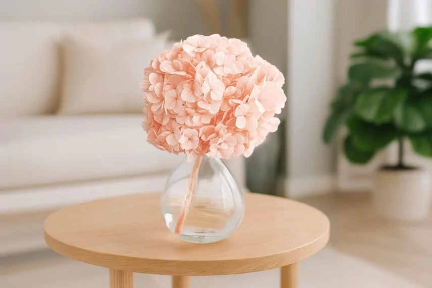 Preserved Hydrangea Pink Blush