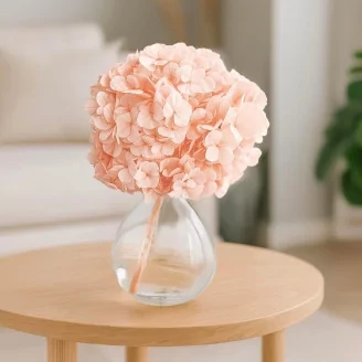 Preserved Hydrangea Pink Blush