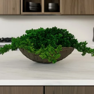 Preserved Juniper