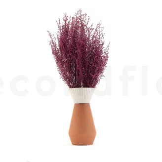 Preserved Stoebe Pink