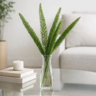 Preserved Foxtail