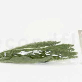 Preserved Foxtail