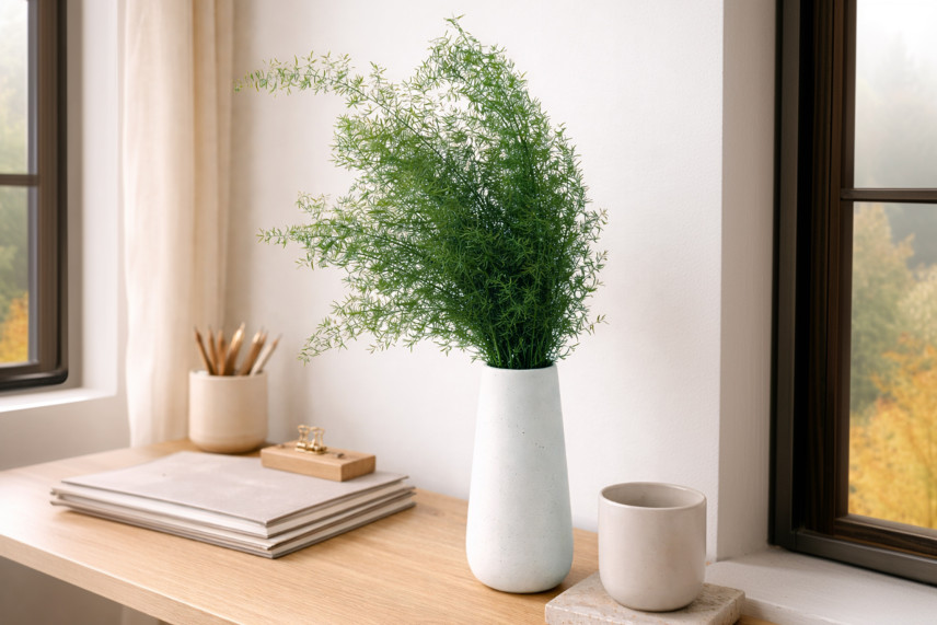 Preserved Sprengeri - Green