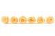 Preserved Rose Roseamor Bright Beige (set of 6) 5