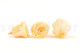 Preserved Rose Roseamor - Box of 6 - Bright Beige 4
