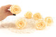 Preserved Rose Roseamor - Box of 6 - Bright Beige 6