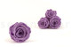 Preserved Rose Roseamor - Box of 6 - Bright Violet 3