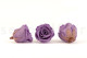 Preserved Rose Roseamor - Box of 6 - Bright Violet 4
