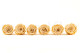 Preserved Rose Roseamor Champagne Satin (set of 6) 5
