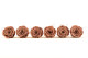 Preserved Rose Roseamor Dark Brown (set of 6) 5