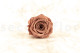 Preserved Rose Roseamor - Box of 6 - Dark Brown 7