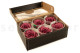 Preserved Rose Roseamor Violet (set of 6) 8