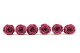 Preserved Rose Roseamor Violet (set of 6) 5