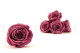 Preserved Rose Roseamor Violet (set of 6) 3