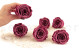 Preserved Rose Roseamor Violet (set of 6) 6