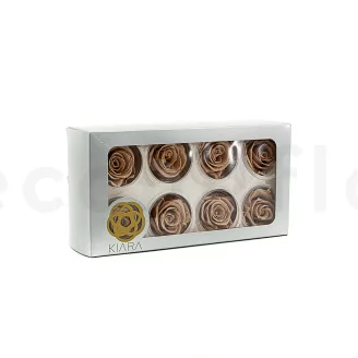 Preserved Rose L Nude (set of 8)