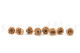 Preserved Rose L Nude (set of 8) 5