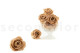 Preserved Rose Kiara L - Box of 8 - Nude Roses 7