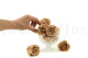 Preserved Rose L Nude (set of 8) 6