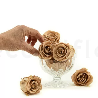 Preserved Rose L Nude (set of 8)