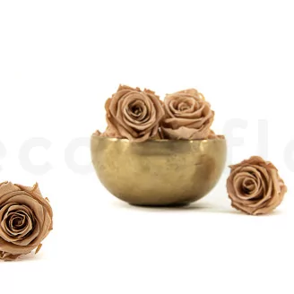 Preserved Rose L Nude (set of 8)