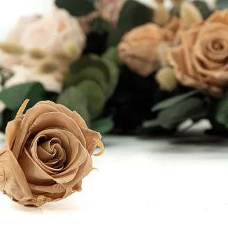 Preserved Rose L Nude (set of 8)