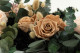 Preserved Rose L Nude (set of 8) 2