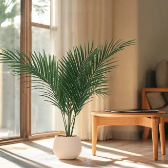 Preserved Phoenix Palm Leaf