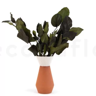 Preserved Salal Green