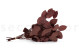 Preserved Salal Red 4