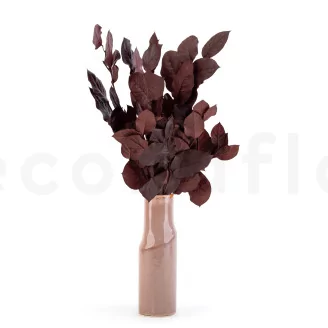 Preserved Salal Red