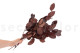 Preserved Salal Red 6