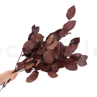 Preserved Salal Red