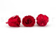 Preserved rose Kiara L - Box of 8 - Vibrant Red Roses 5