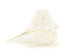 Preserved Hydrangea Kiara - White 8