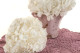 Preserved Hydrangea White 2