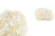 Preserved Hydrangea White 7