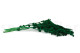 Preserved Amaranthus Green 4