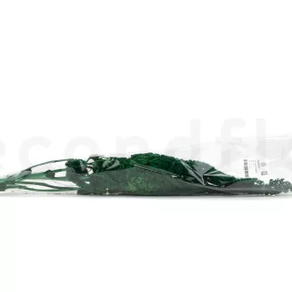 Preserved Amaranthus Green
