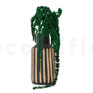 Preserved Amaranthus Green