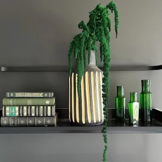Preserved Amaranthus Green