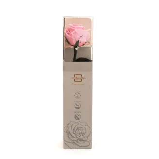 Preserved Roses on stem 12" - Gift Box 25 Units - Light Pink
