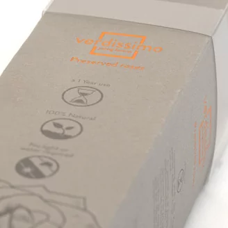 Preserved Roses on stem 12" - Gift Box 25 Units - Light Pink